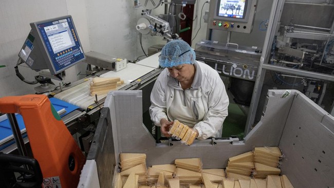 Gelombang Panas Ekstrem Ancam Produksi Keju Parmesan Terbesar di Italia