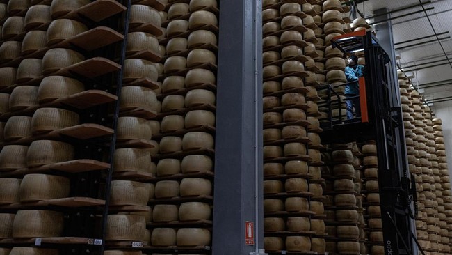 Gelombang Panas Ekstrem Ancam Produksi Keju Parmesan Terbesar di Italia
