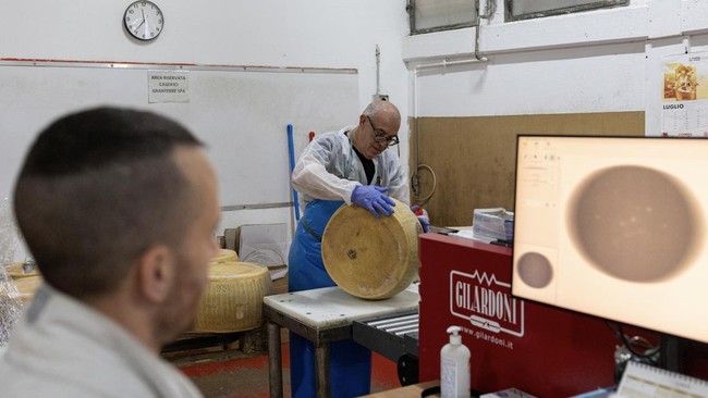 Gelombang Panas Ekstrem Ancam Produksi Keju Parmesan Terbesar di Italia