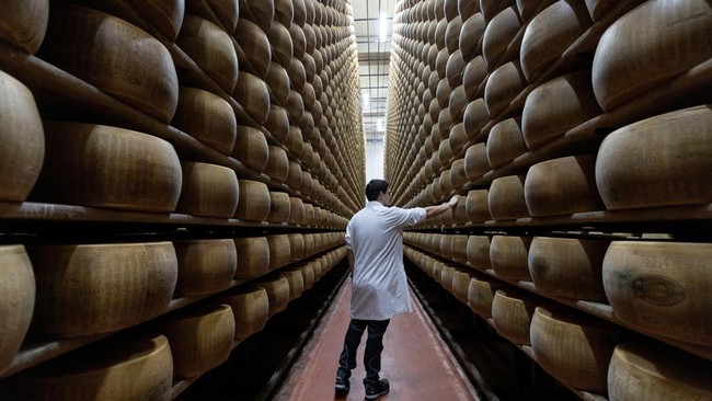 Gelombang Panas Ekstrem Ancam Produksi Keju Parmesan Terbesar di Italia