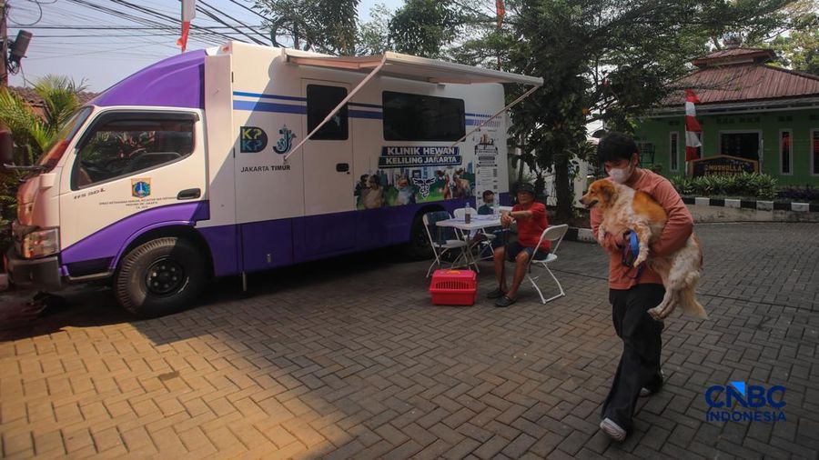 Layanan kesehatan di dalam Mobil Klinik Hewan Keliling di Jakarta, Selasa (14/7/2026).