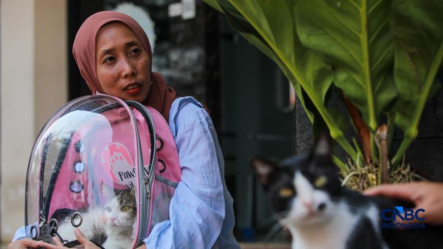 Layanan kesehatan di dalam Mobil Klinik Hewan Keliling di Jakarta, Selasa (14/7/2026).