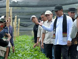 Mentan Dukung Pengembangan Kopi Gayo Pascabencana