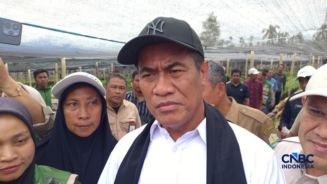 Amran Blusukan ke Perkebunan Kopi di Aceh, Beri Kabar Baik ke Petani
