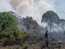 Karhutla Mengganas, Kotim Kaji Naikkan Status ke Tanggap Darurat