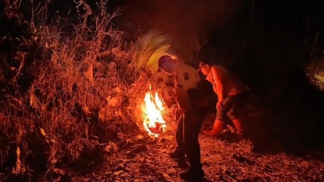 Kebakaran hutan dan lahan (karhutla) dilaporkan terjadi di kawasan Taman Hutan Raya (Tahura) R Soerjo, tepatnya di Blok Tempuran, Gunung Biru.