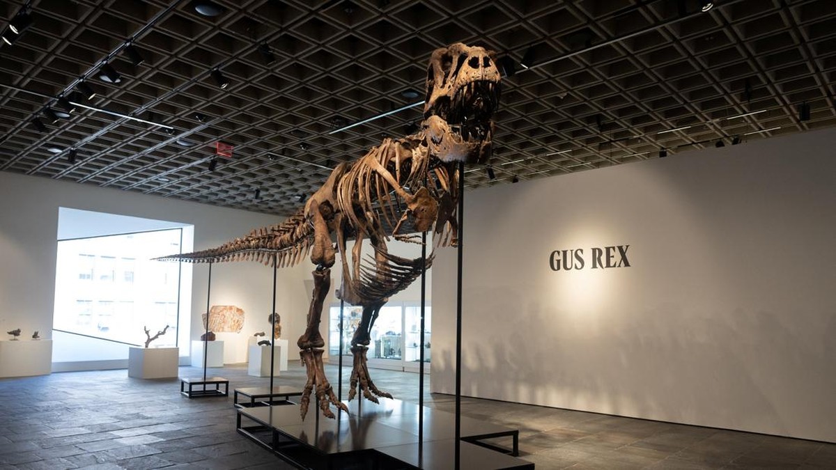 Fosil Dinosaurus T-Rex Dilelang, Harganya Bikin Kaget