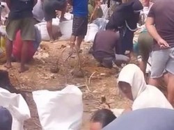 Lahan Perkebunan Diduga Mengandung Emas di Boltim Diserbu Warga