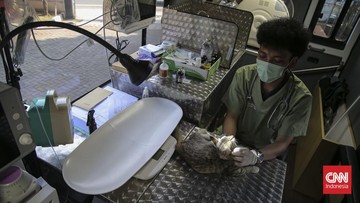 FOTO: Merasakan Klinik Hewan Keliling Pertama di Indonesia