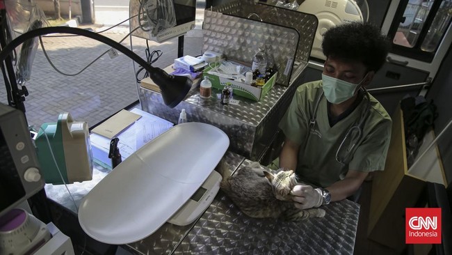 Mobil Klinik Hewan Keliling