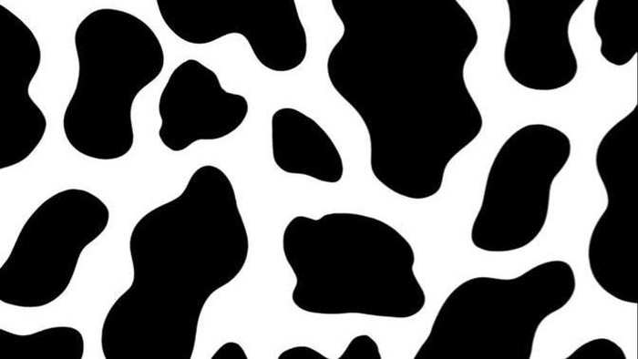 Motif sapi