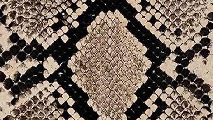 Motif ular