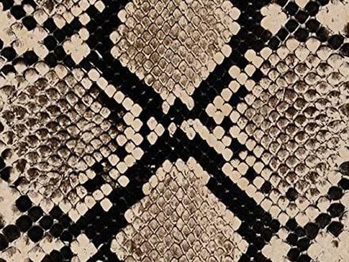 Motif ular