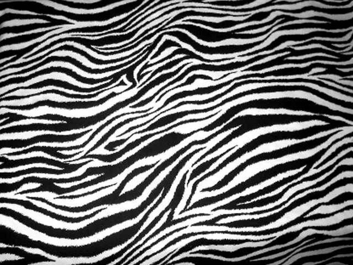 Motif zebra