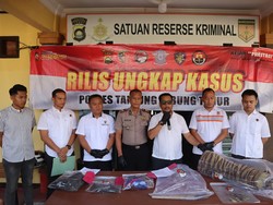 Koleksi Kulit Harimau Sumatera, Warga Tanjabtim Jambi Ditangkap Polisi