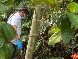 Video: Misteri Dokter PPDS Siak Ditemukan Tewas di Semak Belukar