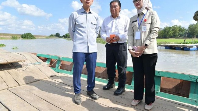 Wapres Gibran Rakabuming Raka meninjau pembangunan Jembatan Way Bungur di Kabupaten Lampung Timur, Lampung, Rabu (15/7/2026).