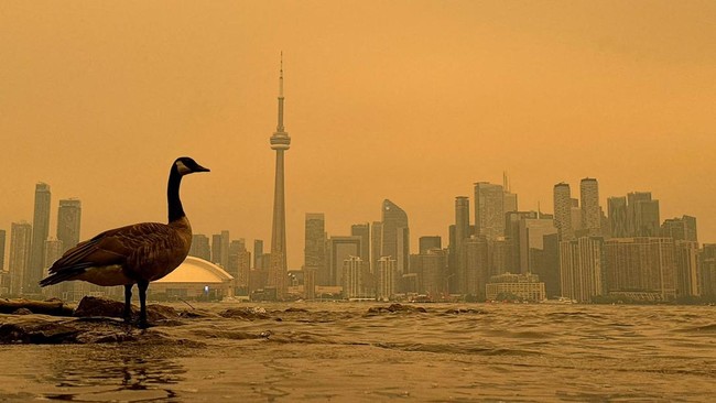 Kualitas Udara Toronto Jadi yang Terburuk di Dunia Akibat Karhutla