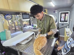 Lihat IG Pramono, Warga Langsung Bawa Kucing Sakit ke Klinik Hewan Keliling