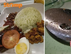 Pasien Heboh Temukan Kecoak di Nasi Lemak, Rumah Sakit Beri Klarifikasi