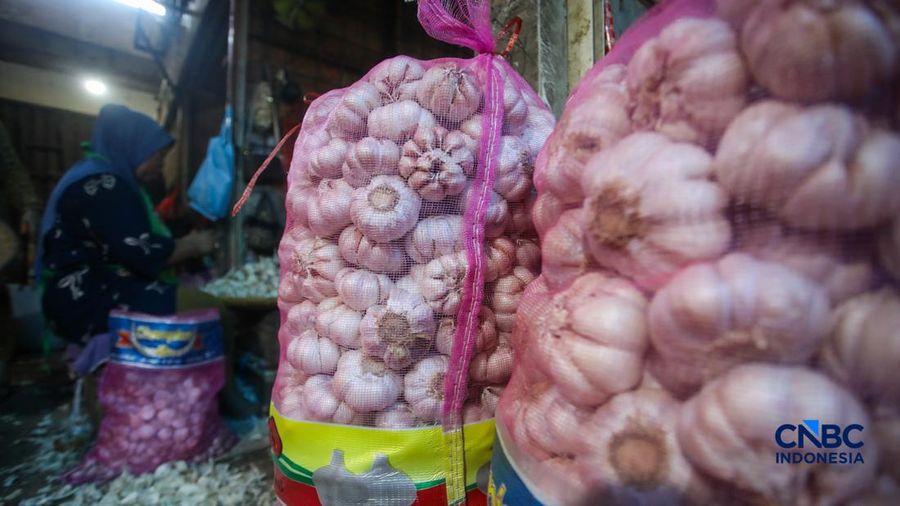 Pekerja mengupas bawang putih di Pasar Induk Kramat Jati, Jakarta, Kamis (16/7/2026). Badan Pusat Statistik (BPS) mencatat Indonesia tetap sangat berjuntai pada China untuk memenuhi kebutuhan impor bawang putih. (CNBC Indonesia/Faisal Rahman)