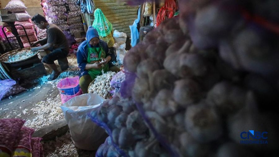 Pekerja mengupas bawang putih di Pasar Induk Kramat Jati, Jakarta, Kamis (16/7/2026). Badan Pusat Statistik (BPS) mencatat Indonesia tetap sangat berjuntai pada China untuk memenuhi kebutuhan impor bawang putih.
