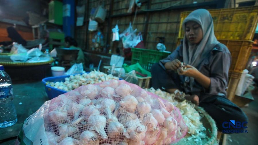 Pekerja mengupas bawang putih di Pasar Induk Kramat Jati, Jakarta, Kamis (16/7/2026). Badan Pusat Statistik (BPS) mencatat Indonesia tetap sangat berjuntai pada China untuk memenuhi kebutuhan impor bawang putih. (CNBC Indonesia/Faisal Rahman)