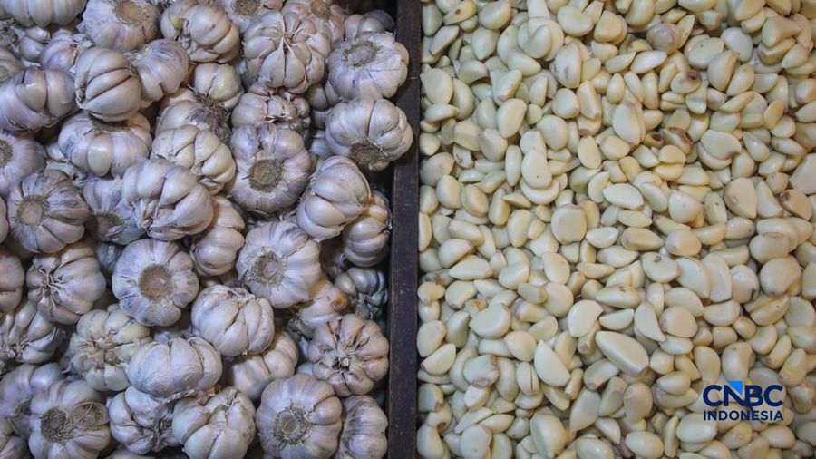 Pekerja mengupas bawang putih di Pasar Induk Kramat Jati, Jakarta, Kamis (16/7/2026). Badan Pusat Statistik (BPS) mencatat Indonesia tetap sangat berjuntai pada China untuk memenuhi kebutuhan impor bawang putih. (CNBC Indonesia/Faisal Rahman)