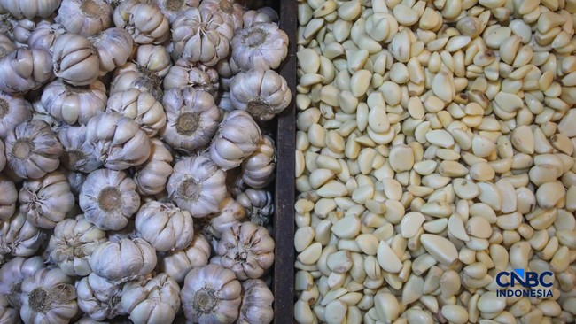 BPS Kasih Penjelasan Harga Terkini Beras, Minyak Goreng-Bawang Putih