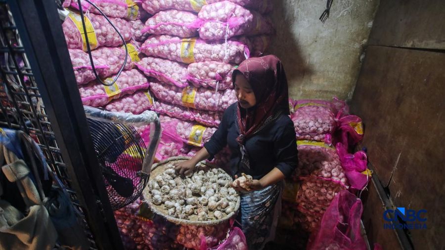 Pekerja mengupas bawang putih di Pasar Induk Kramat Jati, Jakarta, Kamis (16/7/2026). Badan Pusat Statistik (BPS) mencatat Indonesia tetap sangat berjuntai pada China untuk memenuhi kebutuhan impor bawang putih. (CNBC Indonesia/Faisal Rahman)