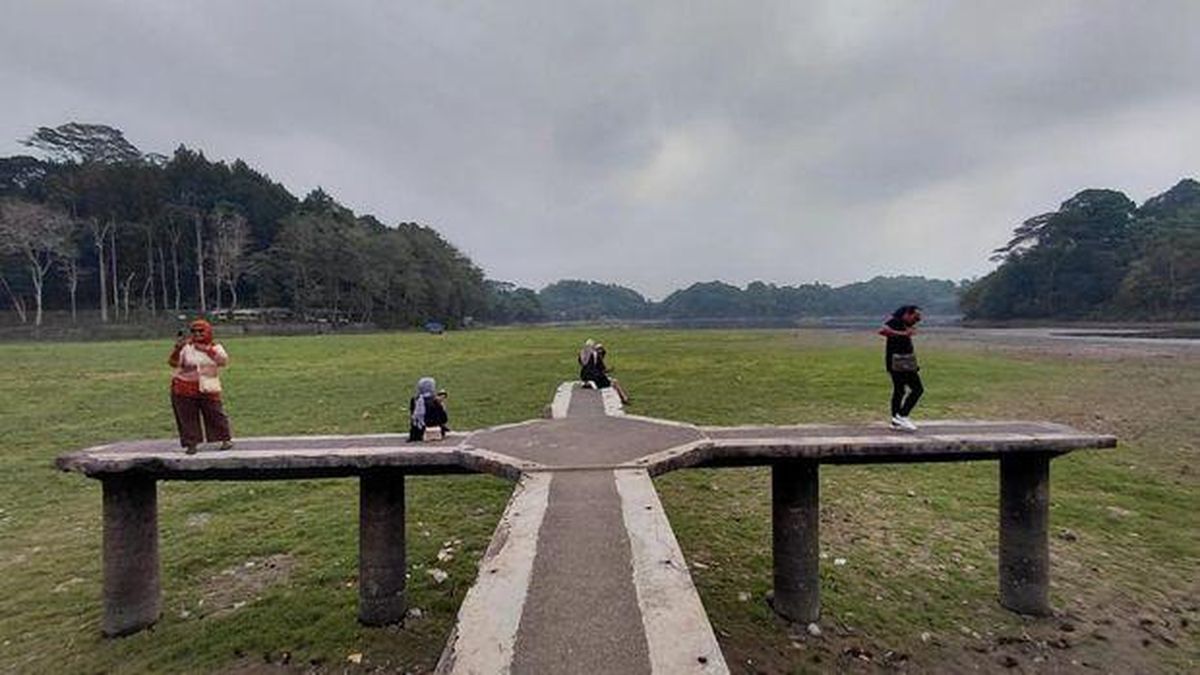 Kemarau Bikin Situ Gede Tasikmalaya Kering hingga Jadi Padang Rumput