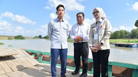 Wapres Gibran Rakabuming Raka meninjau pembangunan Jembatan Way Bungur