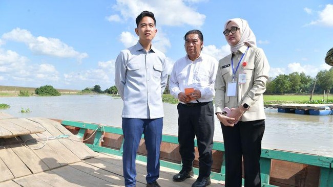 Wapres Gibran Rakabuming Raka meninjau pembangunan Jembatan Way Bungur