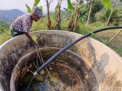 Bantul, Gunungkidul dan Kulon Progo Zona Merah Kekeringan Meteorologis