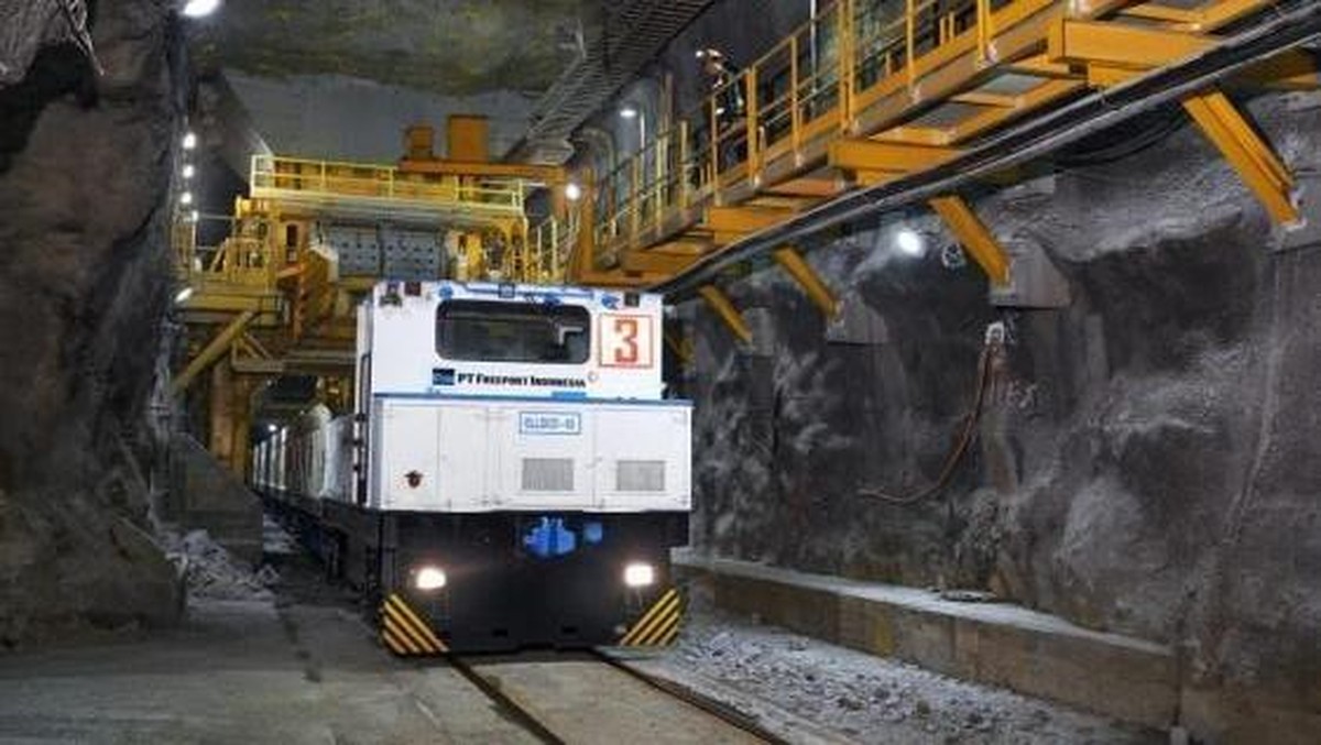 Freeport Punya Proyek Tambang Baru, Bisa Produksi Emas 735.000 Ons! 