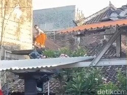 Coba Perkosa Terapis Spa, Pria di Denpasar Kabur Lewat Atap Rumah