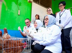 Menteri PPPA-Kepala BPS Puji Pemberdayaan PNM untuk Usaha Ekonomi Sirkular