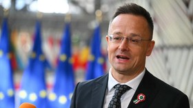 Menteri Luar Negeri dan Perdagangan Hongaria Péter Szijjártó mengundurkan diri kemudian mengisi jabatan eksekutif di BYD.