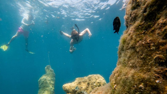 People snorkel in the Underwater Museum in Jelinak Bay near Trogir, Croatia, July 17, 2026. REUTERS/Antonio Bronic     TPX IMAGES OF THE DAY