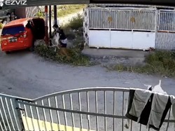 Maling Bermobil Curi Kambing di Sigi, Aksinya Terekam CCTV