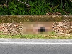 ODGJ Tewas Ditabrak di Tikungan Karanggan Palangka Raya, Pelaku Diburu