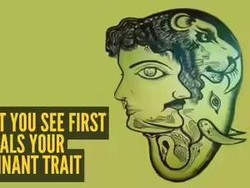 Tes Psikologi: Gambar Pria atau Gajah yang Pertama Kamu Lihat?