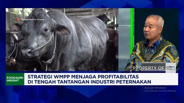 Video: Saat Biaya Produksi Naik, Ini Cara WMPP Ubah Rugi Jadi Untung