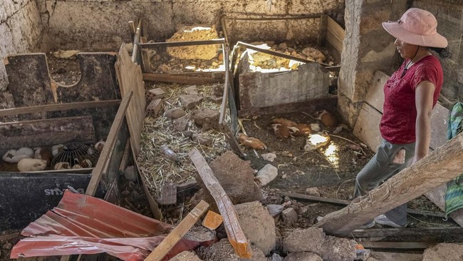 A woman looks at her guinea pigs inside a damaged house following the earthquake of magnitude 5.6 that struck Central Peru on Saturday, in Pumpunya, Chupaca province, Junin region, Peru, July 19, 2026. REUTERS/Yershon Vilca.  REFILE - FIXING SPELLING