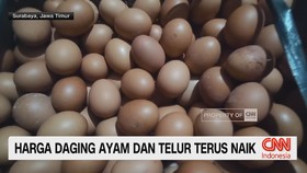 Harga Daging Ayam dan Telur Terus Naik