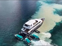 Nasib Terumbu Karang Maratua yang Rusak gegara Kapal Kandas Kena Arus Deras