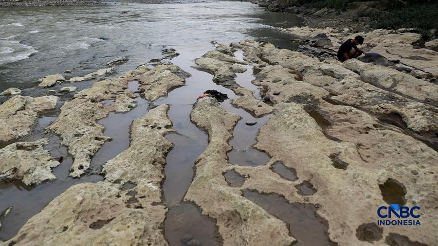 Musim tandus mulai berakibat pada menyusutnya debit Sungai Cisadane nan melintasi Desa Kampung Sawah, Kecamatan Rumpin, Kabupaten Bogor, Jawa Barat, Senin (20/7/2026). (CNBC Indonesia/Muhammad Sabki)