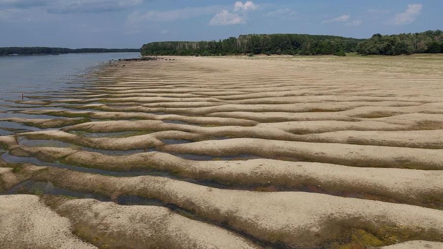 Permukaan udara Sungai Danube di Rumania turun ke tingkat terendah dalam tiga dasawarsa terakhir. (Inquam Photos/Ovidiu Micsik via REUTERS)