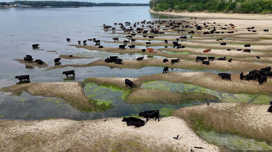 Permukaan udara Sungai Danube di Rumania turun ke tingkat terendah dalam tiga dasawarsa terakhir. (Inquam Photos/Ovidiu Micsik via REUTERS)