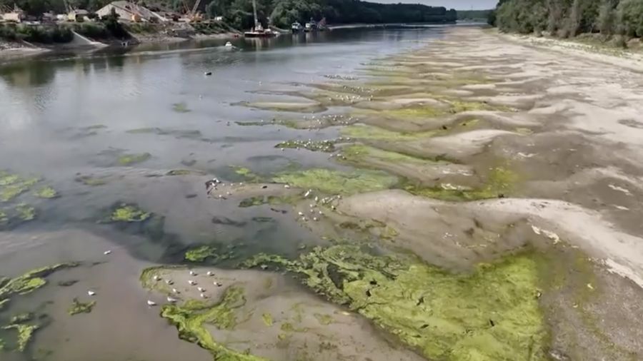 Permukaan udara Sungai Danube di Rumania turun ke tingkat terendah dalam tiga dasawarsa terakhir. (Tangkapan Layar Video/REUTERS)